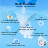 Viên Vi Sinh Nitrat Yee Cô Đặc 🐟 FREESHIP 🐟 Giải Pháp Giảm Mùi Tối Ưu Cho Bể Cá Cảnh và Thủy Sinh