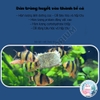 [Hộp 500ml] Trùng Chỉ Đông Khô Voonline Tubificidae 🐟 FREESHIP 🐟 Trùn Chỉ Thức Ăn Cho Cá Cảnh
