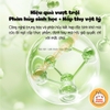 Hạt Khử Mùi Khay Vệ Sinh Yee Cho Thỏ, Bọ Ú, Thú Nhỏ