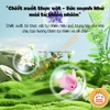 Hạt Khử Mùi Khay Vệ Sinh Yee Cho Thỏ, Bọ Ú, Thú Nhỏ