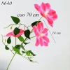 Cành hoa ông lão Hồng Đỏ TQ