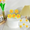 SCG-set cắm hoa mai nỉ vàng HD