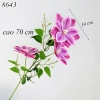 Cành hoa ông lão Tím Nhạt TQ