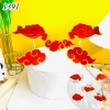 SCG - set cắm đám mây đỏ