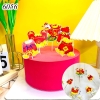 SCG- Sét Cắm Thần Tài M2 HD.