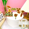 SCG-set cắm 20/10 cô gái hoa hướng dương