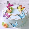 Set 10 bướm nhựa to sắc màu