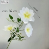 Cành hoa ông lão Trắng TQ