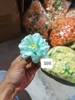 Hoa - Hoa cúc pháp xanh dương nhạt