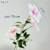 Cành hoa ông lão Trắng Tím TQ