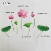 SCG-Bộ Hoa Sen 7 chi tiết TQ