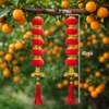 Túi 2 Dây 5 quả cầu nhung 6cm