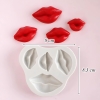 Khuôn Silicon Đôi Môi 3D 4 Mẫu TQ