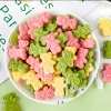 Bánh Quy Tạo Hình Gấu Trái Tim Mix Màu TQ