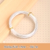 Dây nhôm mềm đường kính 1.0mm TQ (5m)