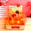 Combo Hộp Romantic Trắng + Phôi Cô Gái 5 Ống Tiền + Thành Phần