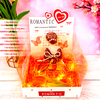 Combo Hộp Romantic Trắng + Phôi Cô Gái 5 Ống Tiền + Thành Phần