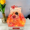 Combo Hộp Romantic Trắng + Phôi Cô Gái 10 Ống Tiền + Thành Phần