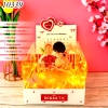 Combo Hộp Romantic Trắng + Phôi Cô Gái 10 Ống Tiền + Thành Phần