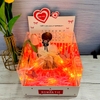 Combo Hộp Romantic Trắng + Phôi Cô Gái 10 Ống Tiền + Thành Phần