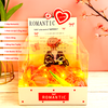 Combo Hộp Romantic Trắng + Phôi Cô Gái 10 Ống Tiền + Thành Phần