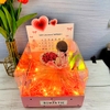 Combo Hộp Romantic HỒNG + Phôi Cô Gái 10 Ống Tiền + Thành Phần