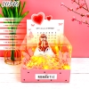 Combo Hộp Romantic HỒNG + Phôi Cô Gái 10 Ống Tiền + Thành Phần