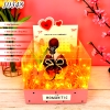 Combo Hộp Romantic HỒNG + Phôi Cô Gái 5 Ống Tiền + Thành Phần
