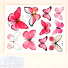 SCG-Set 10 Bướm Giấy Pastel 2 TQ
