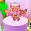 Cam - set bướm giấy hồng đậm HD.