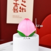Trái Đào Hồng Trung 5.5cm