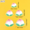 SCG- sét cắm 5 quả đào hồng