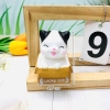 CV-mèo LUCKY nhắm mắt.