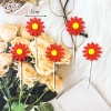 SC-set 5 hoa hướng dưỡng vải dạ đỏ