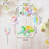 SCG-Set cắm nàng tiên cá san hô HD