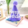 1 Chiếc mũ nỉ Tím gắn chữ HPBD TP