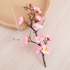 Cành hoa đào trắng hồng