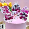 SCG-Set cắm cô gái thời trang hồng TP