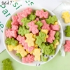 Bánh Quy Tạo Hình Gấu Trái Tim Mix Màu TQ
