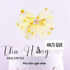 QC-Que cắm nơ vải màu vàng