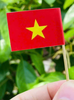 (Loại gấp sẵn ) Set 36 Que Cắm 2 mặt Cờ Đỏ Sao Vàng Việt Nam