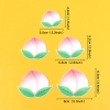 SCG- sét cắm 5 quả đào hồng