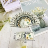 Cam - set 20 tờ tiền dolar nhỏ