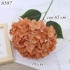 Cành hoa cẩm tú cầu Cam Nhạt TQ