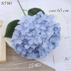 Cành hoa cẩm tú cầu Xanh Dương Nhạt TQ