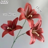 Cành hoa huệ Đỏ TQ