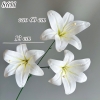 Cành hoa huệ Trắng TQ