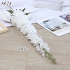 Cành hoa phi yến Trắng TQ