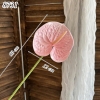 Cành hồng môn Hồng Nhạt TQ