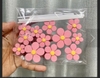 Set 12 hoa anh đào đất set Hồng